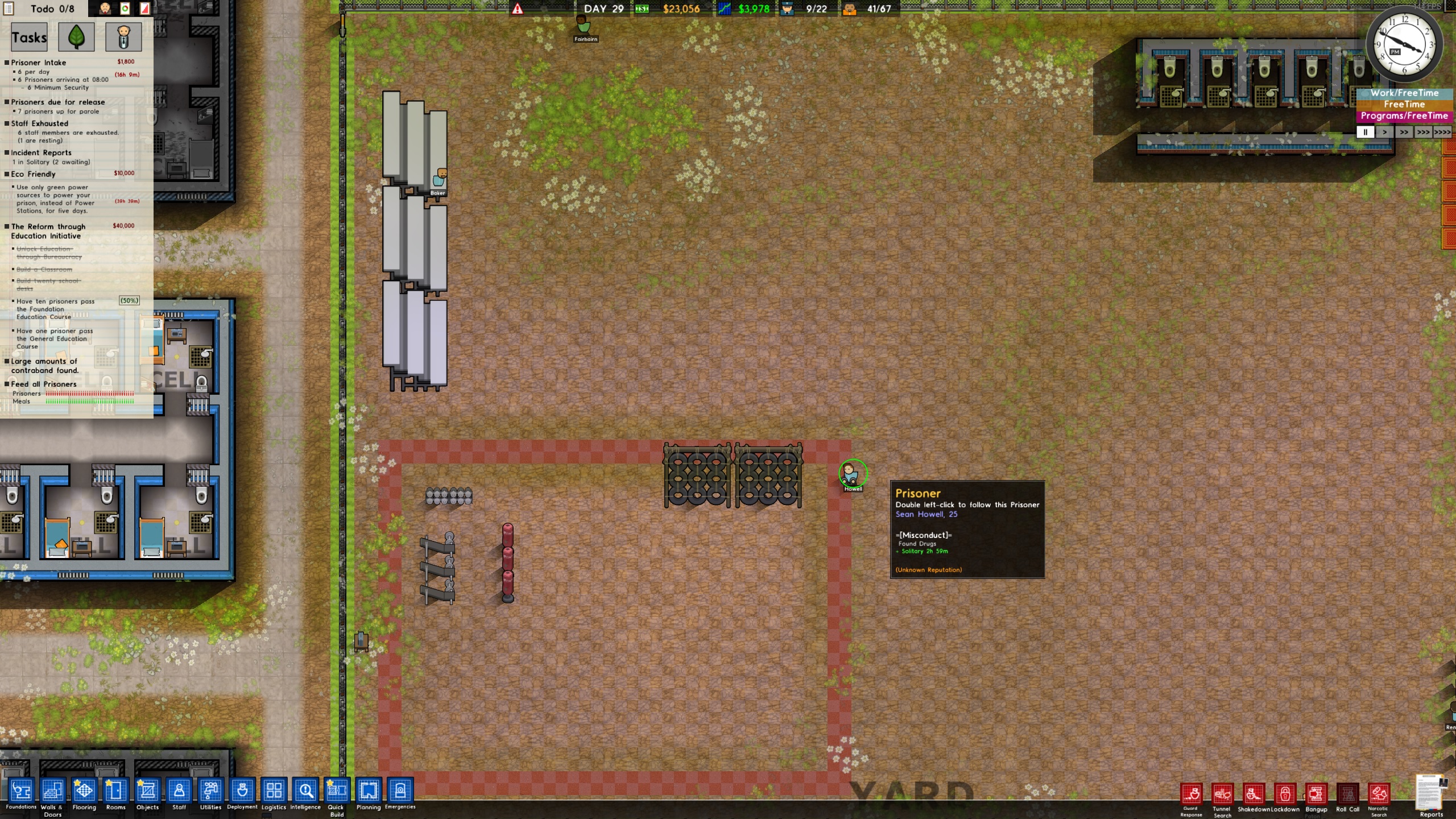 solitary bug.jpg solitary bug.jpg